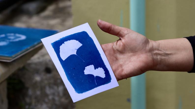 cyanotype