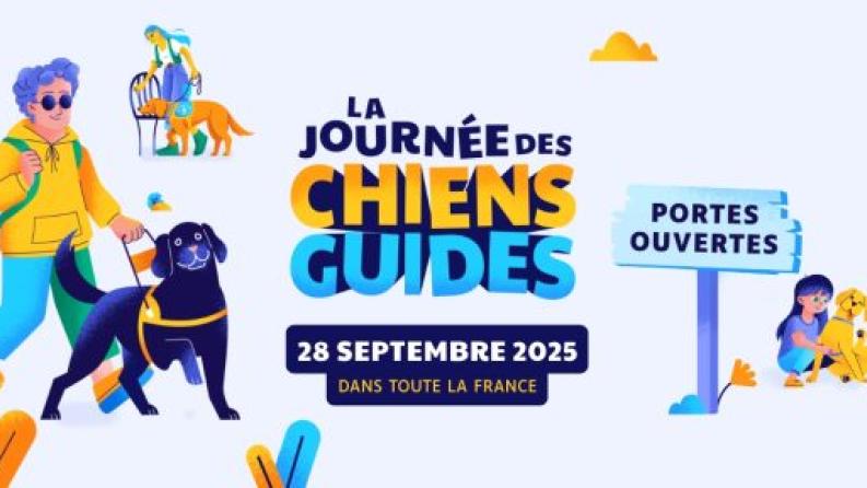 Chiens guides de paris