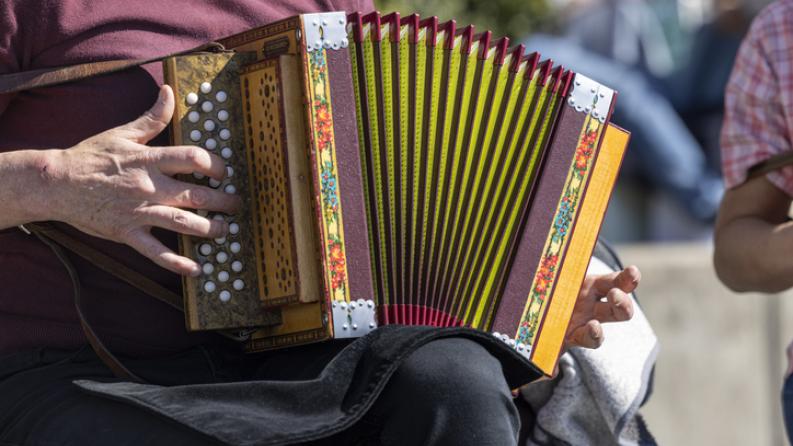 accordeons