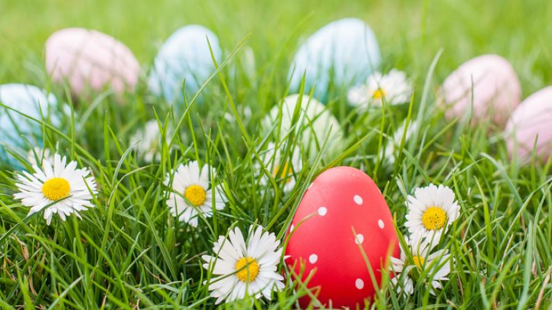 Pâques chasse aux oeufs dans le jardin