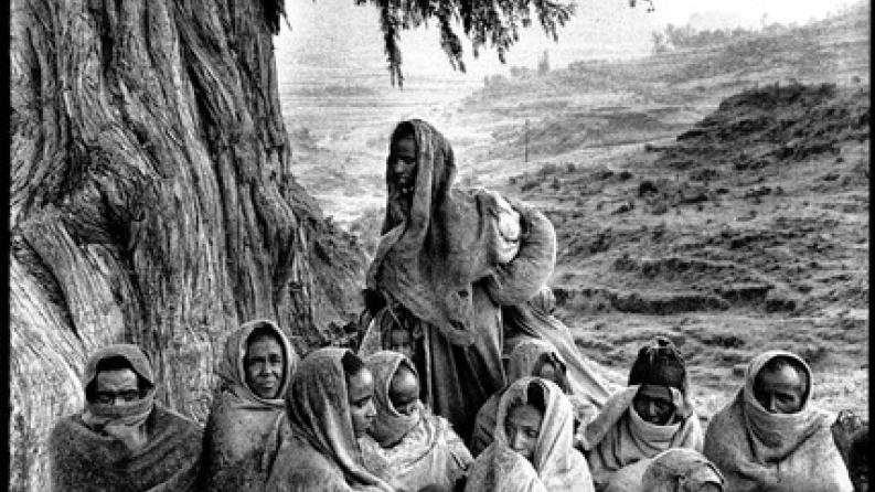 on y voit des femmes et des enfants aux pieds d'un arbre