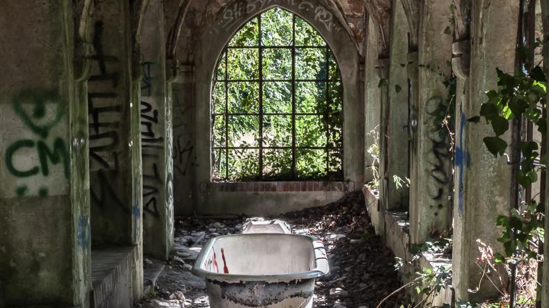 photo d'une ancienne salle de bain ou la végétation à prit sa place avec le temps
