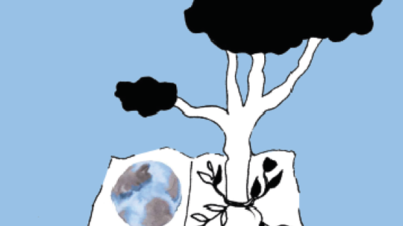 une illustration d'un arbre qui sort d'un livre