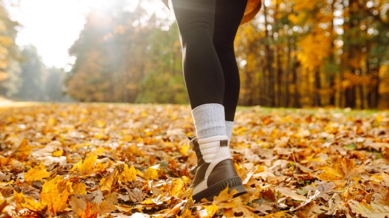 Gros plan des jambes d’une jeune randonneuse en chaussures de randonnée marchant sur des feuilles mortes brillantes.