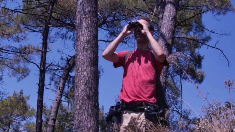 un homme tient des jumelles devant ses yeux en pleine nature