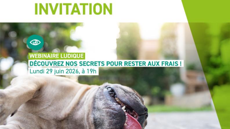 Un chien au sol tire la langue