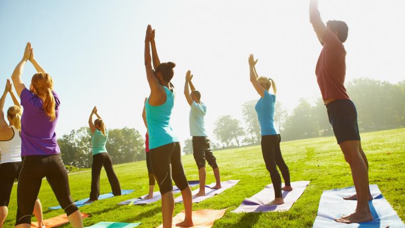 Des personnes de dos font du yoga en plein air