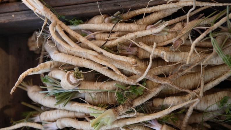Marché de producteurs : Salsifis 
