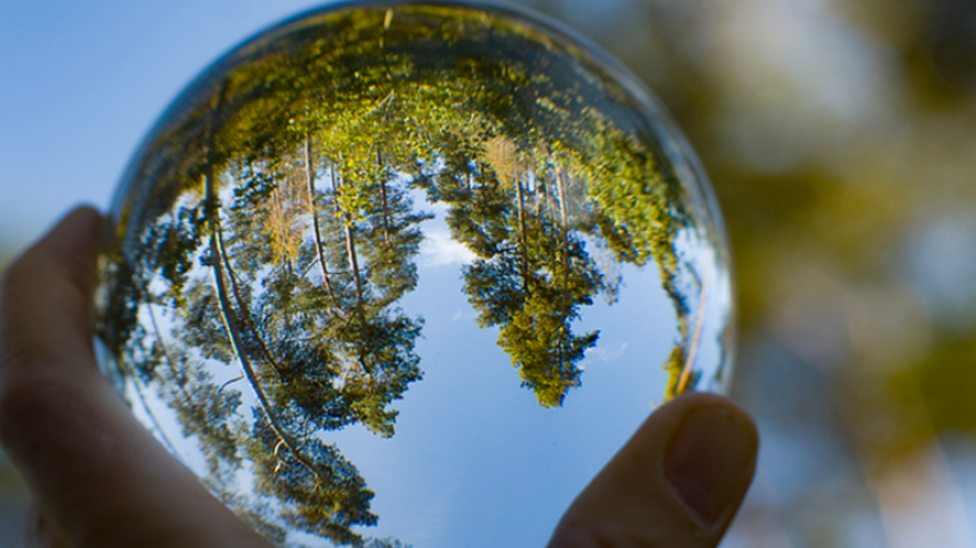 Biodiversité