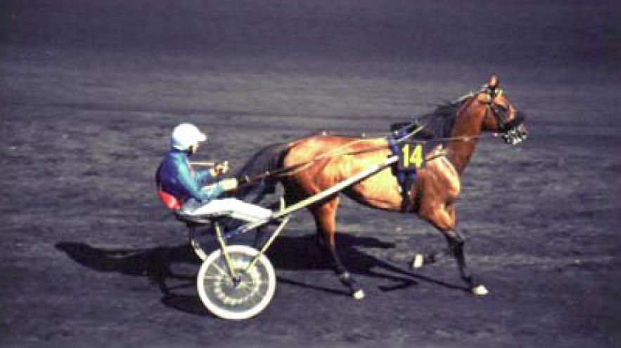 hippodromecourse