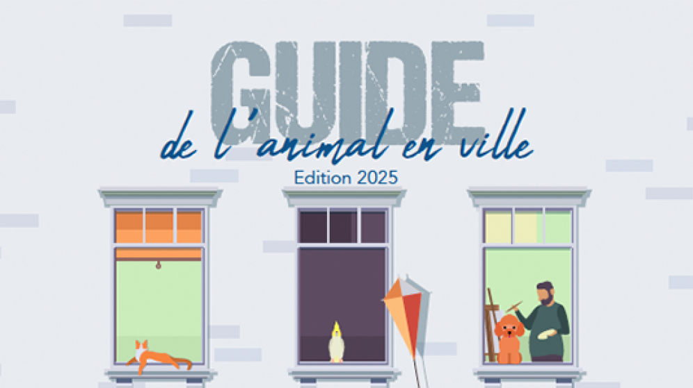 guide animal
