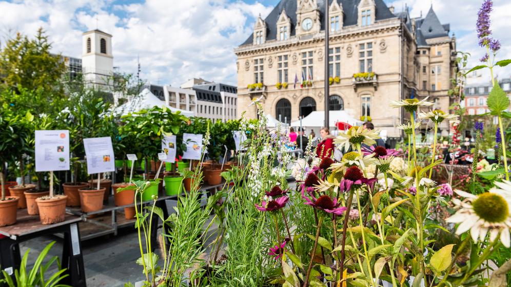 Journée du jardinier-Place de l'Hôtel de Ville