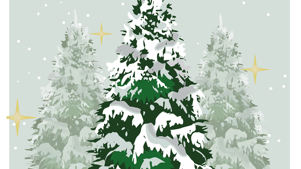 image d'un sapin en illustration